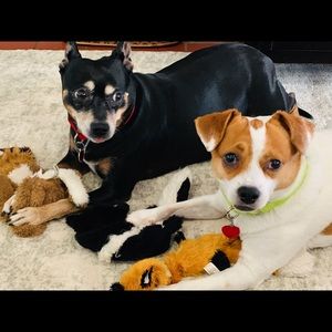 Meet your Posher, Yael